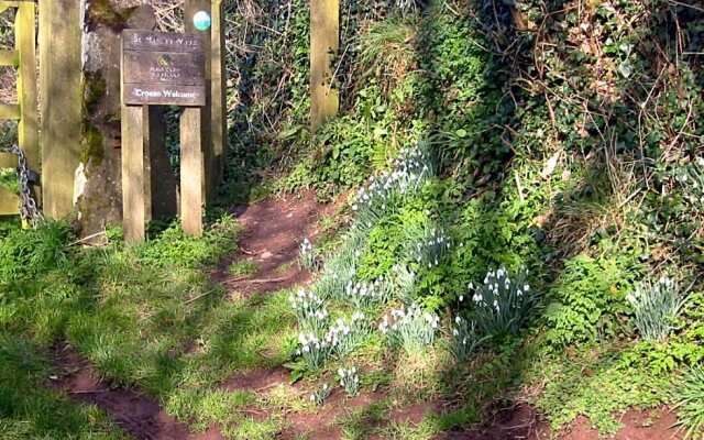 Longlane House B&B, Laugharne