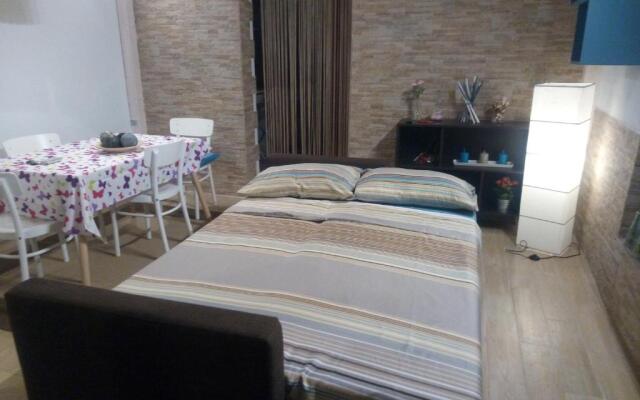 Central House Apartment