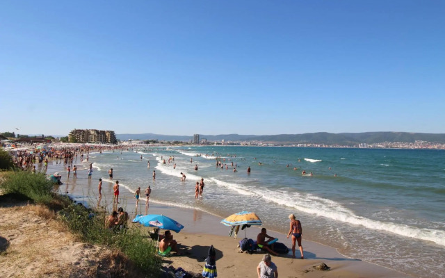 One Bedroom Apartment Anita А15