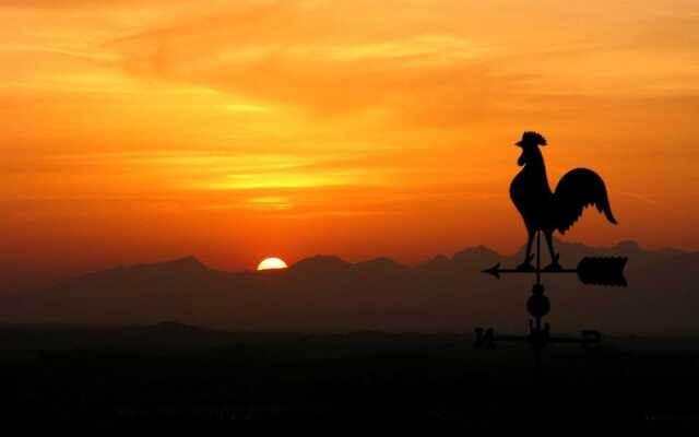 Verdidea - SOTTO COLLE