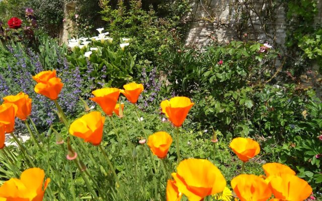 Villa Athéna,séjour bien-être et éthique