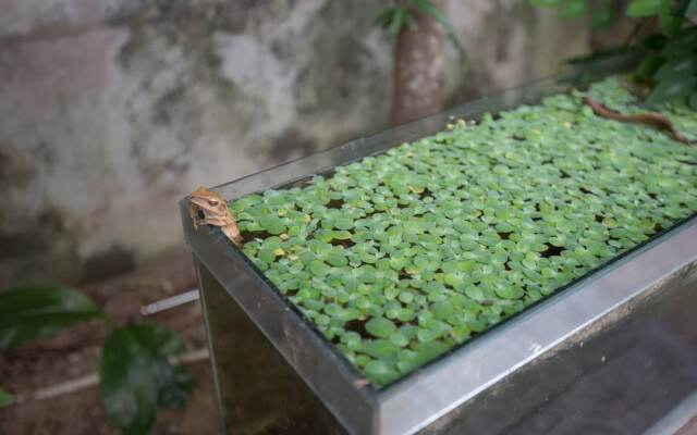 Hillside Homestay Hue - Meditation Studio