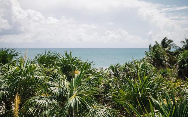Nest Tulum