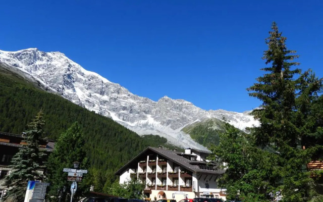Hotel Alpina