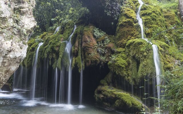 Ecolodge Selvitelle - Sustainable Retreat Amidst Olive Groves in Cilento