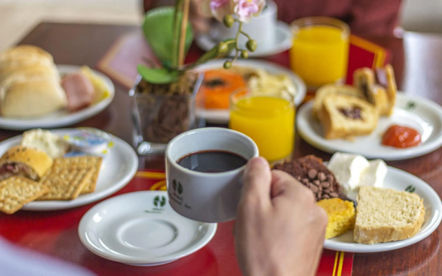 Hotel Nacional Inn São Carlos & Convenções