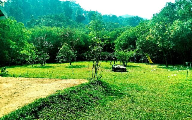 Vythiri Greens Resort