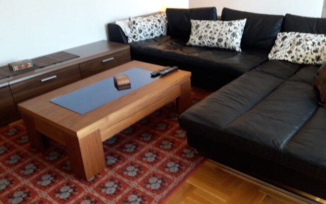 Apartment Lana Podgorica