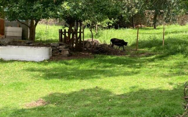 Maison près de l'Océan
