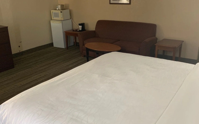 Ramada Williamsburg East Busch Gardens Area