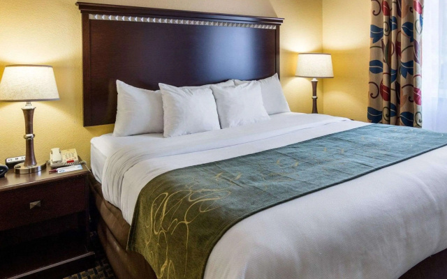 Comfort Suites Nacogdoches