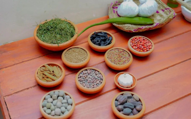 Celestia Ayurveda Resort