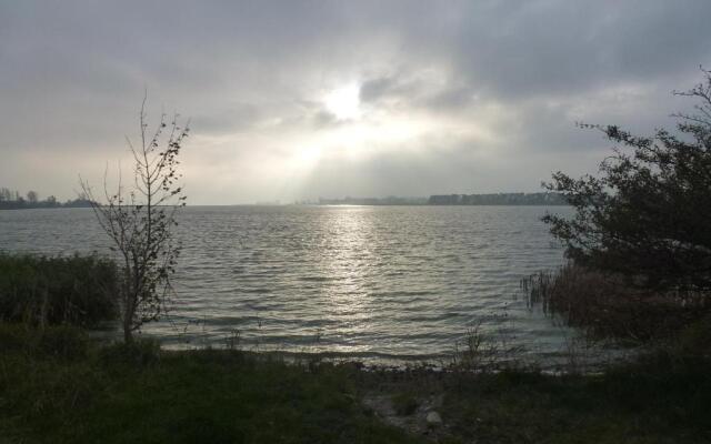 Strandläufer Zempin