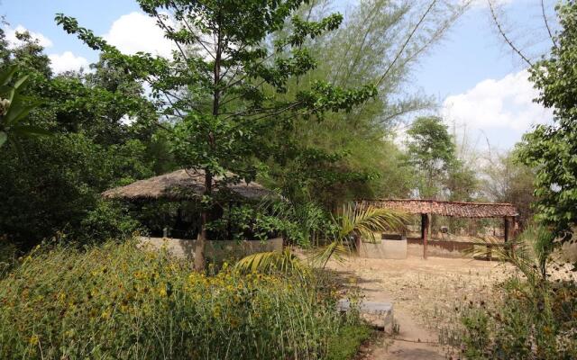 Bandhavgarh Jungle Lodge