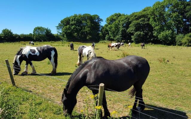 Meadow View, luxury home in heart of England