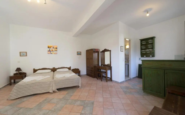 Paloma Studios