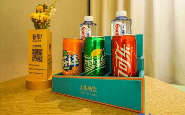 True Go S Hotel (Beijing Capital Airport Second Branch)
