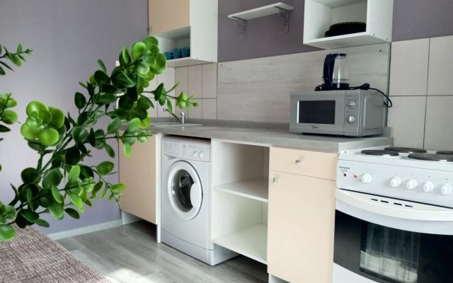 Апартаменты на улице Серафимы Дерябиной 53а