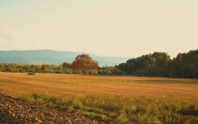 Agriturismo Il Puntoncino