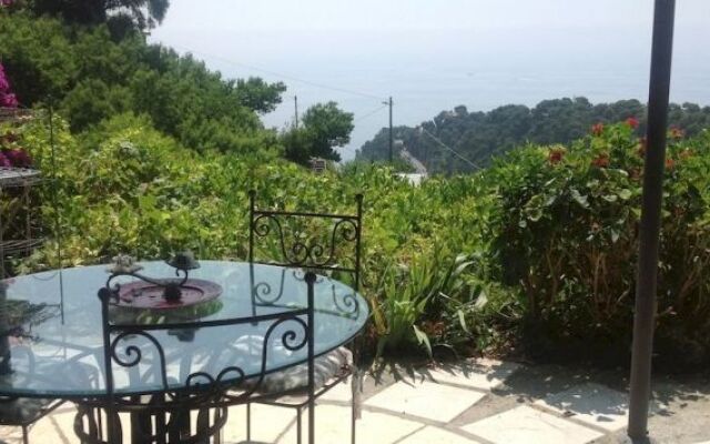 Villa dArte