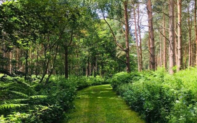 Hollicarrs - Forest Retreat