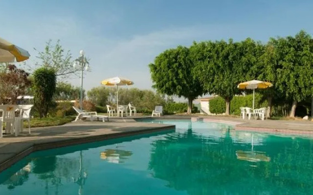 Vista Junior Guadalajara