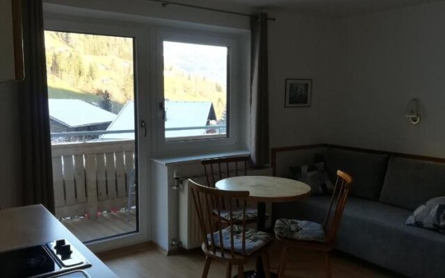 Apartment Waldhaus Opitz