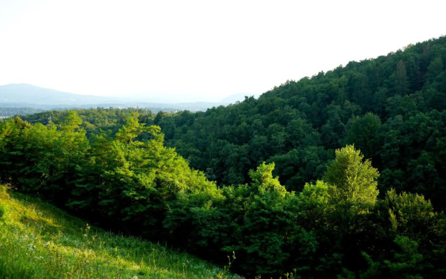 Hillhouse Novo mesto