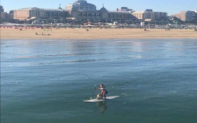 Lovely Apartment in Den Haag