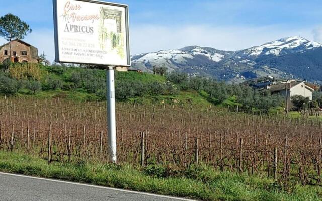 La Loggetta di Apricus