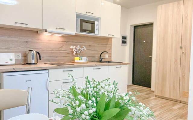 Sun City Apartments на ул. Ленина