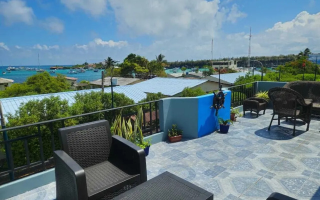 Hostal Flightless Cormorant