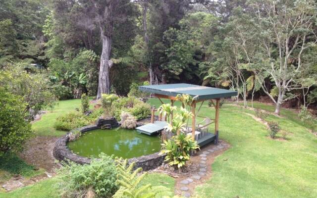 Volcano Big Tree Sanctuary