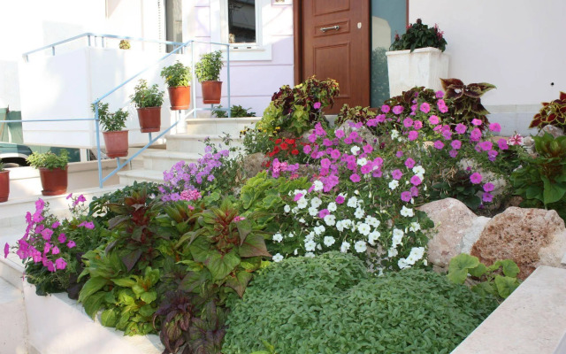 Veggie Garden Athens B&B