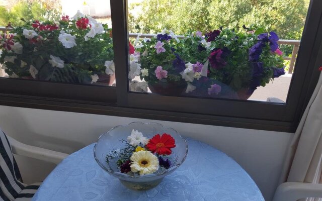 Arilena Holiday Apartments