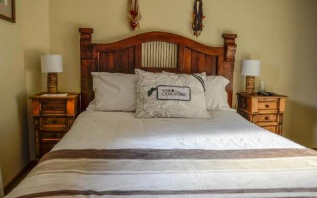Hostal Cepa Noble
