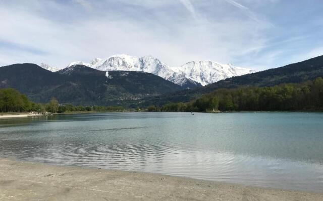 Le Mont Blanc 160