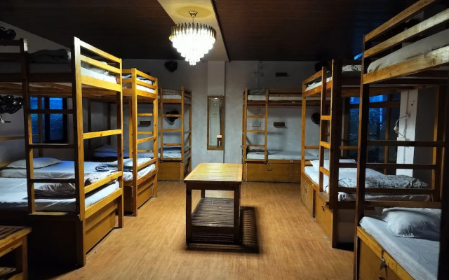 Jungle by sturmfrei Pushkar