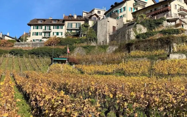 La Vigneronne, Tuin