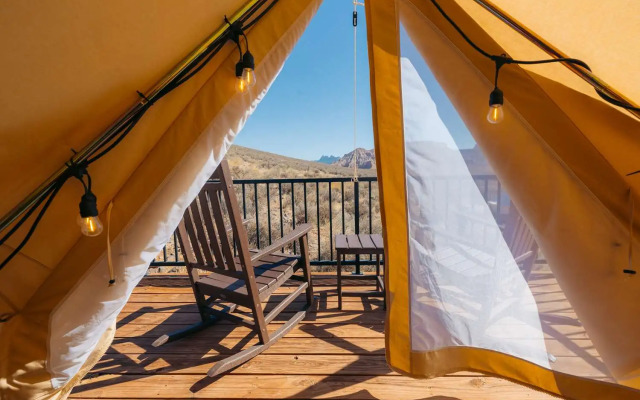 Zion Wildflower, BW Premier Collection