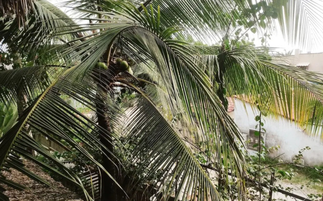 Pousada Tropical Brasil