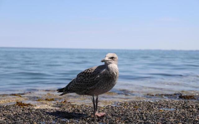 Mein Urlaub auf Sylt
