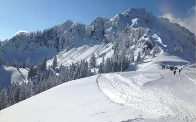 Apparthotel Garni Superior Simsseeblick