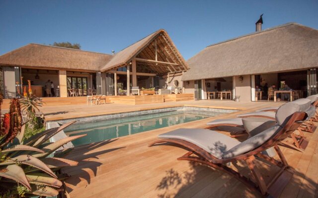 Bukela Game Lodge Amakhala Game Reserve