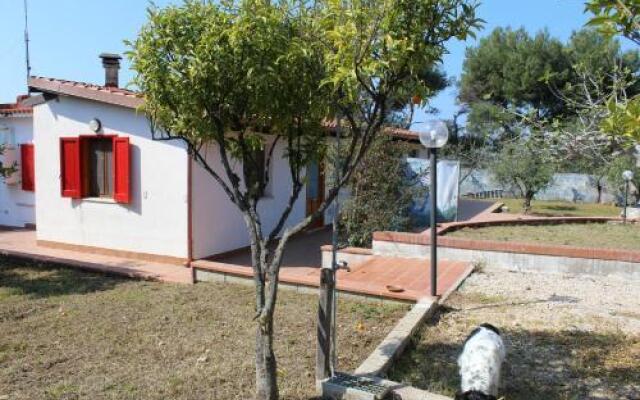 Villa Artistica Gaeta B&B