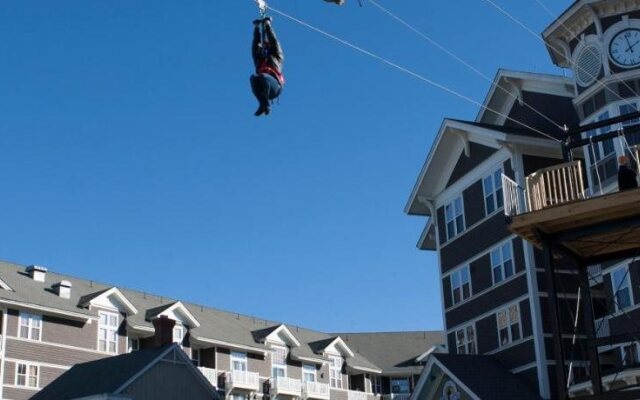 Snowcrest