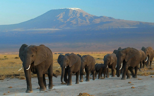 Ol Tukai Lodge Amboseli