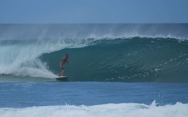 Wild Waves Surf-House
