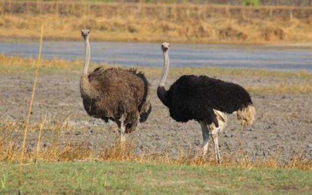 Chaminuka Lodge and Nature Reserve