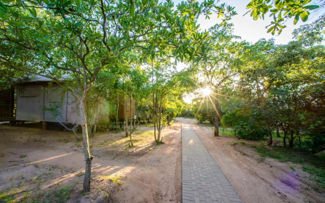 Nkambeni Safari Camp